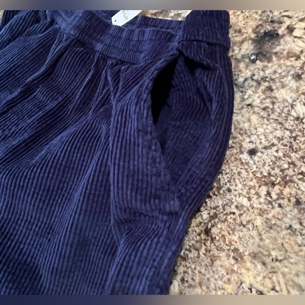 NWT Aerie Corduroy Boxer Short - Picture 11 of 13